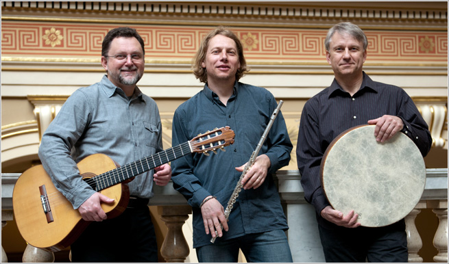 Michal Hromek Consort